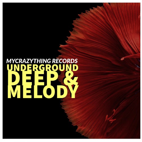 Cover art for Underground Deep & Melody