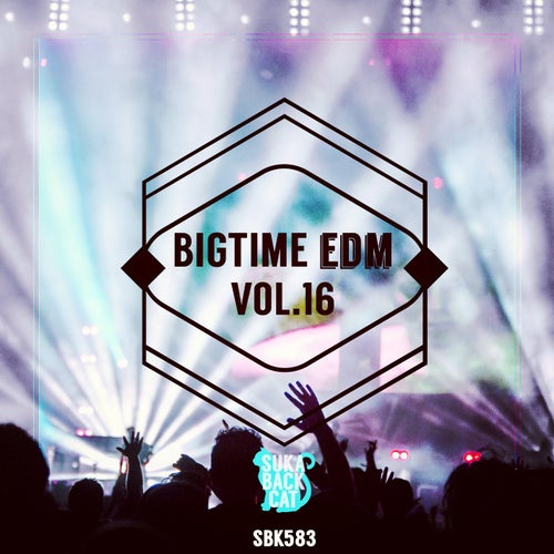 Bigtime EDM, Vol. 16