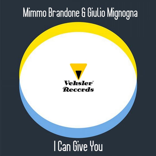 I Can Give You