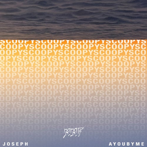 Scoopy (Extended Version)
