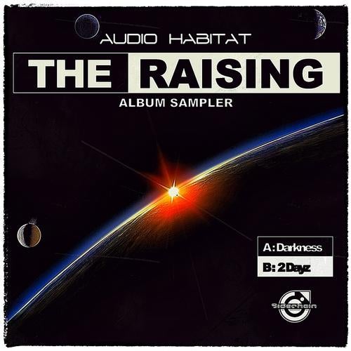 "The Raising" Album Sampler