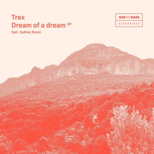 Dream Of A Dream