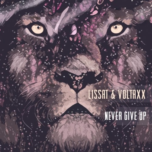 Cover art for Never Give Up