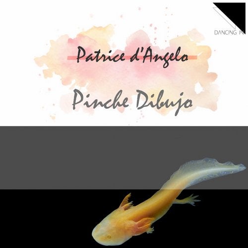 Cover art for Pinche Dibujo