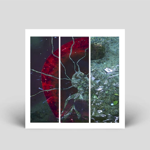 Cover art for Selective Consciousness