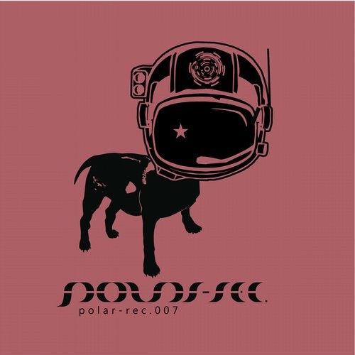 Cover art for Polarnacht