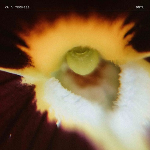 TECH038 Pt. 2