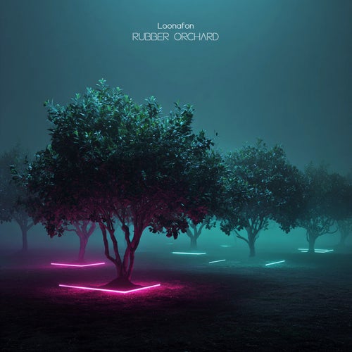 Rubber Orchard
