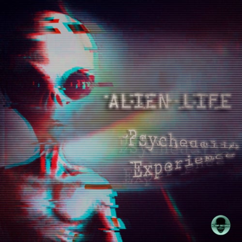 Psychedelic Experience