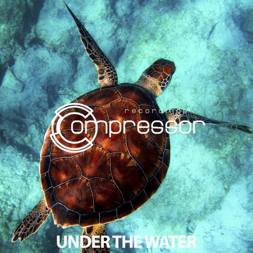Under The Water