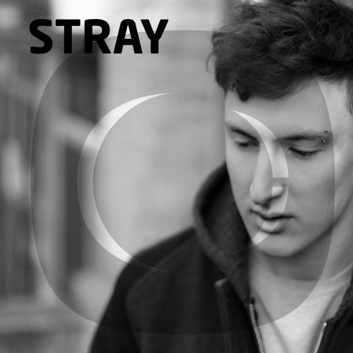 Critical Music - STRAY - Top 10