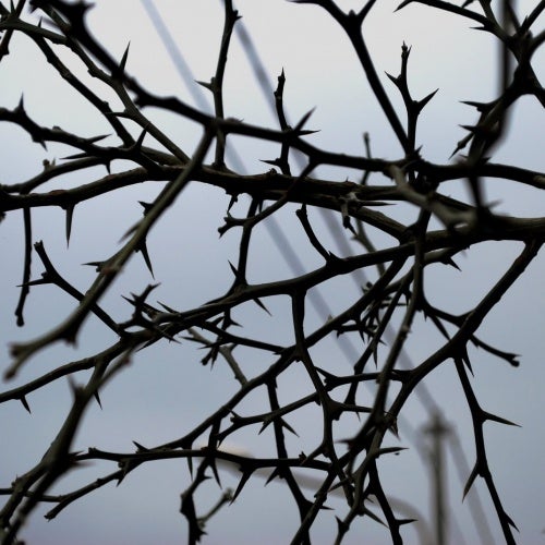 KAISER - NOVEMBER CHART