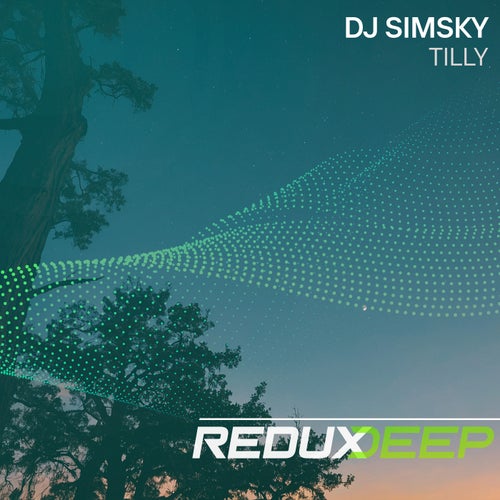  DJ Simsky - Tilly (2026) 