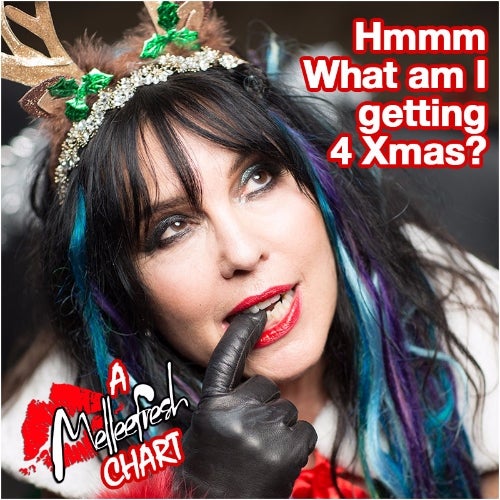 Hmmmm What am I getting 4 Xmas?