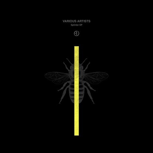 Cover art for Splinter EP