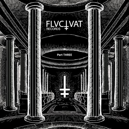 Fluctuat Records - Anniversary V.A.