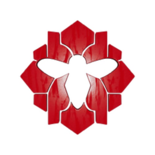 HIVE SOCIETY