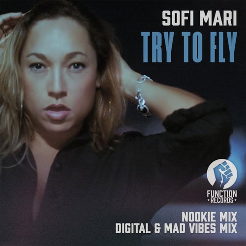 Cover art for Try To Fly