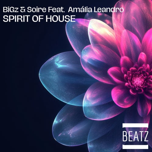 Spirit Of House