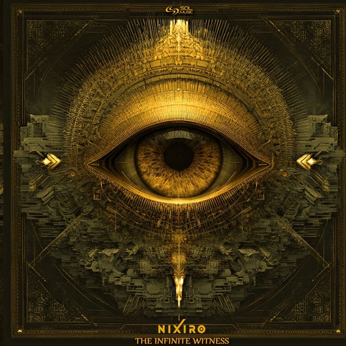 The Infinite Witness