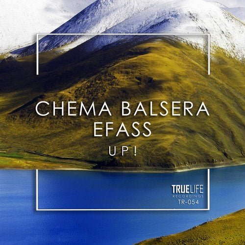 Cover art for Up!