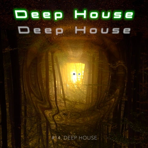 Deep House #14