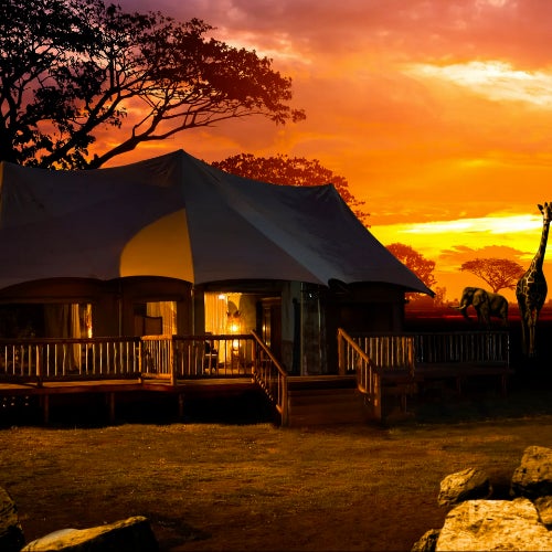 Opening Set - Afro Summer