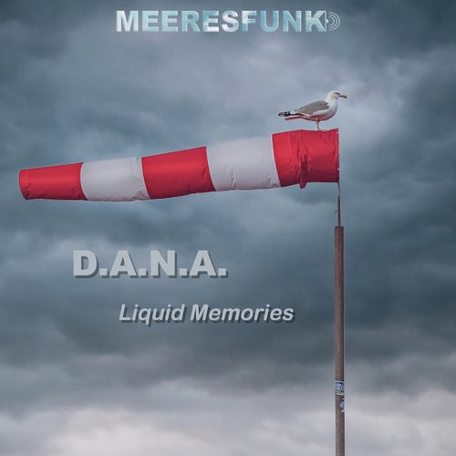 Liquid Memories