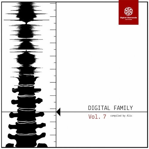 Cover art for Digital Family, Vol. 7