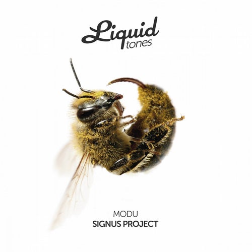 Signus Project