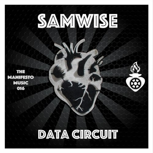 Cover art for Data Circuit