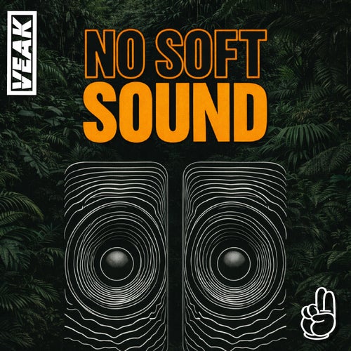 No Soft Sound