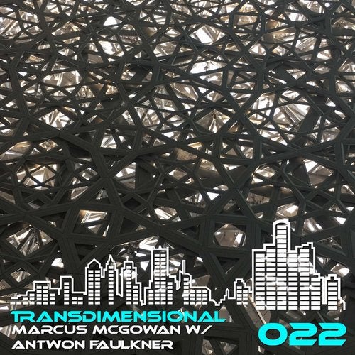 Cover art for Transdimensional