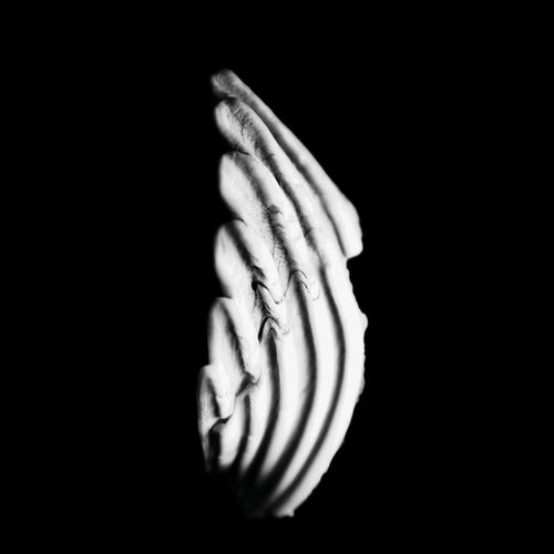 Cover art for Logue