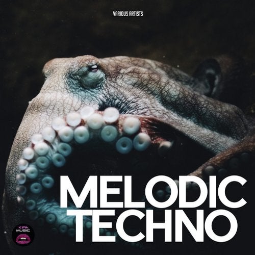 Cover art for Melodic Techno