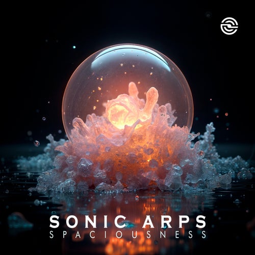  Sonic Arps - Spaciousness (2025) 
