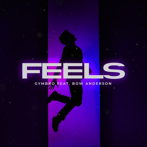 Feels (feat. Bow Anderson) (Extended Mix)