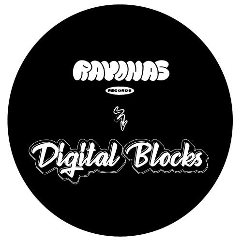 Rayonas Records - Digital Blocks