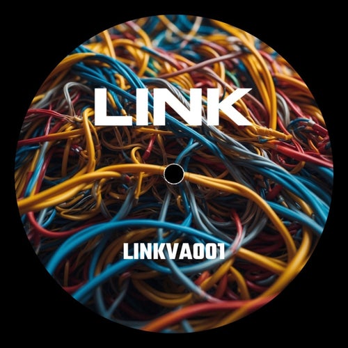 LINK VA001 - Various Artists