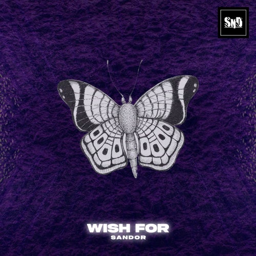 Wish For