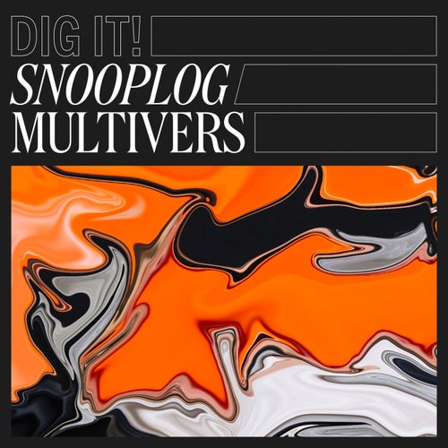 Cover art for Multivers