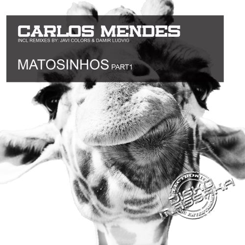 Carlos Mendes Matosinhos part 1 Chart