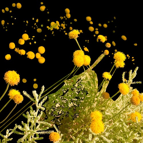 Bank of Wildflowers (feat. Georgia) (Leftfield Remix)