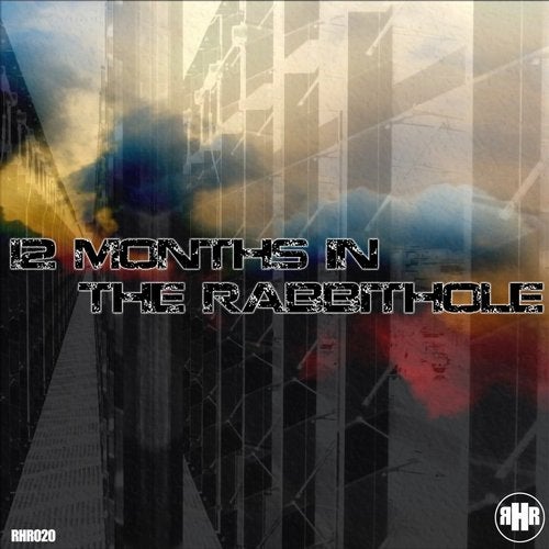Cover art for 12 Months In The Rabbithole