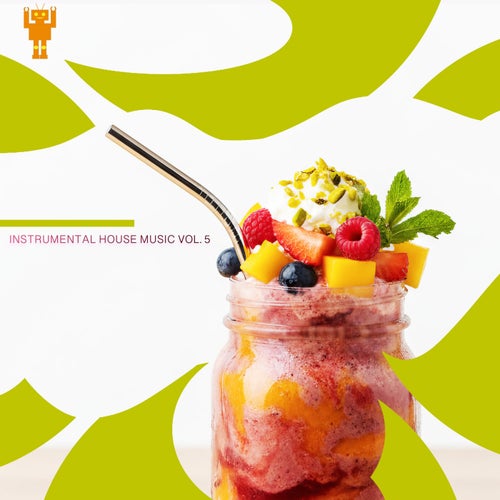 Instrumental House Music Vol. 5