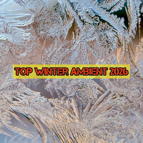 Top Winter Ambient 2026