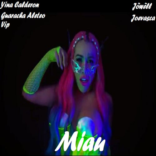 Miau (feat. Aleteo Beatz) [Original Mix]