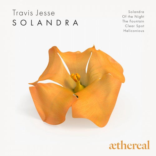 Solandra
