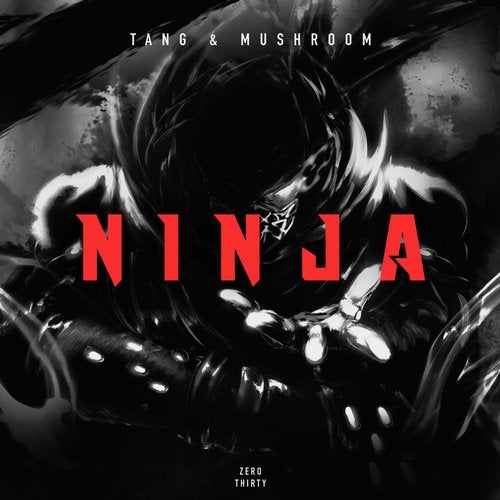 Cover art for Ninja