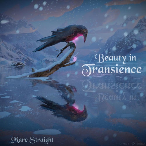 Cover art for Beauty in Transience